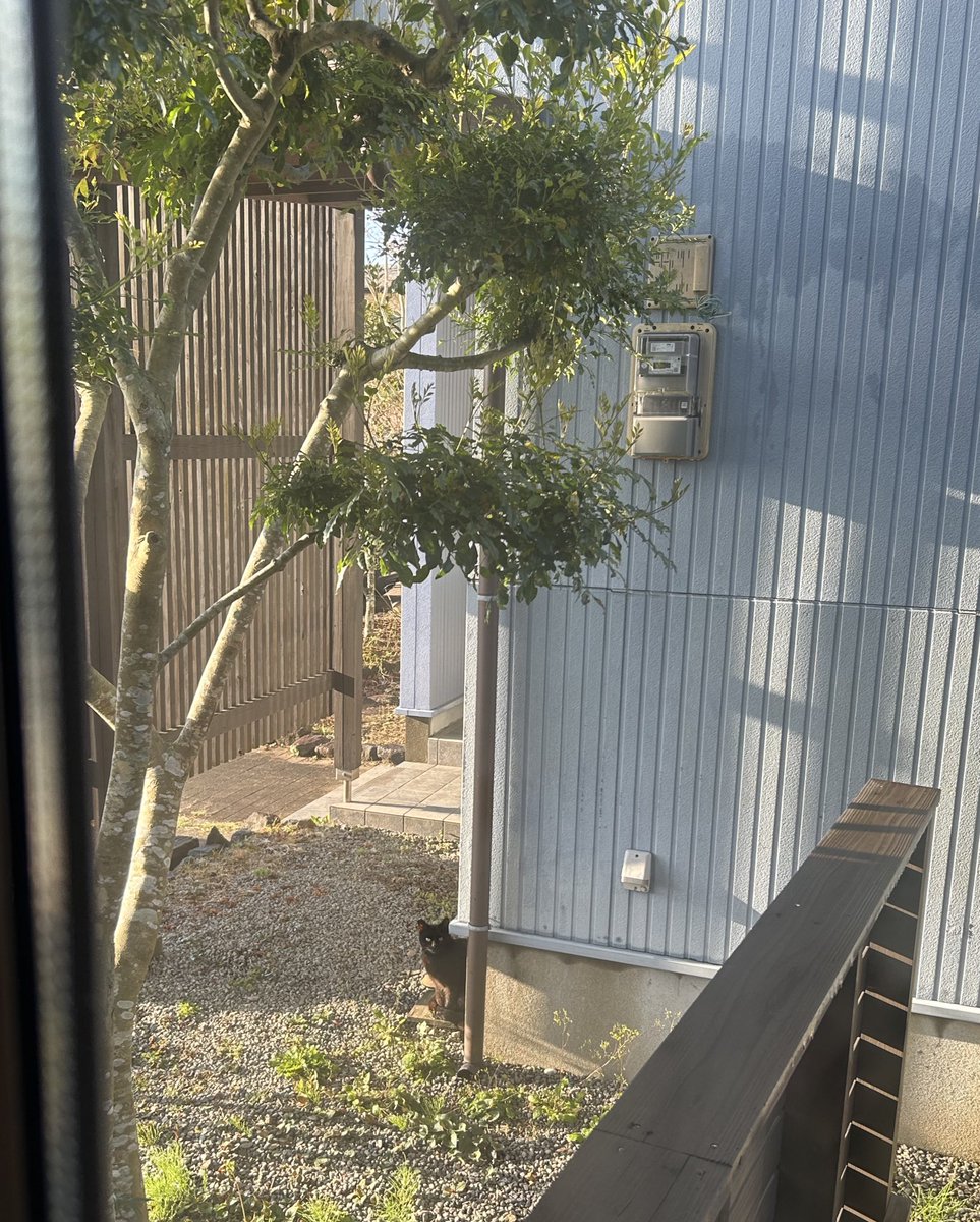 オハヨーニャン