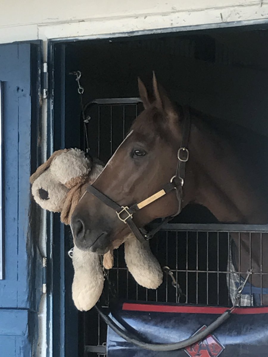 LisaHocking326's tweet photo. Wishing @AttfieldRoger all the very best. Will never forget our time at Payson Park! https://t.co/BW6NCn9R78