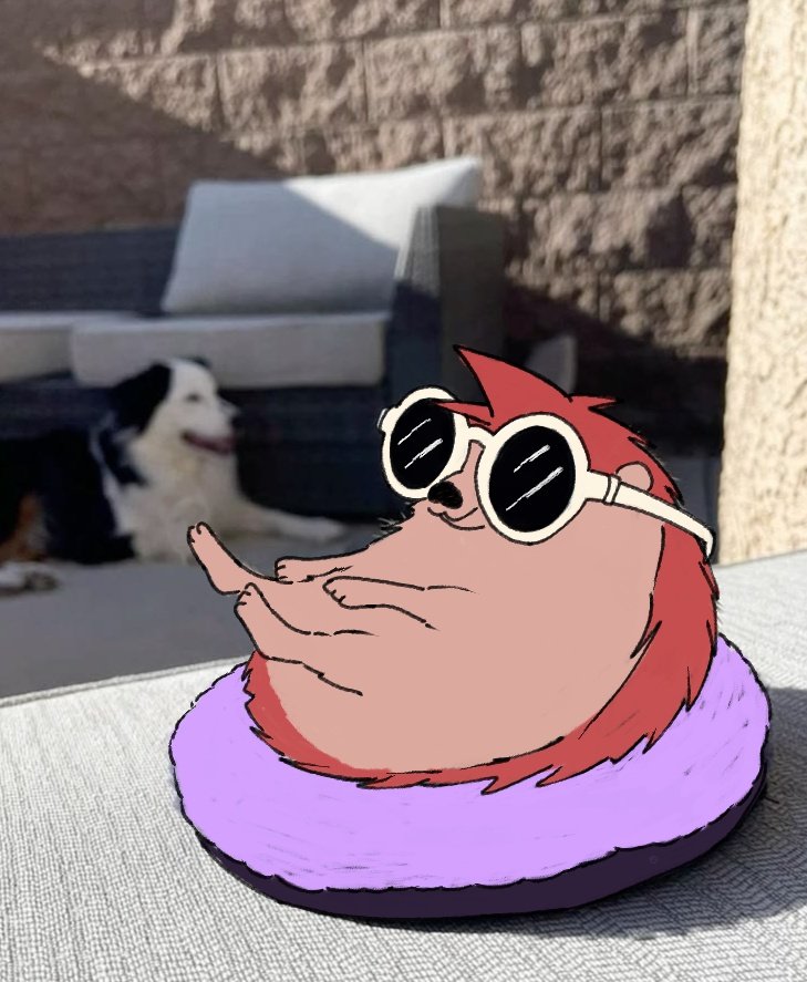 Miru 🦦 tweet media