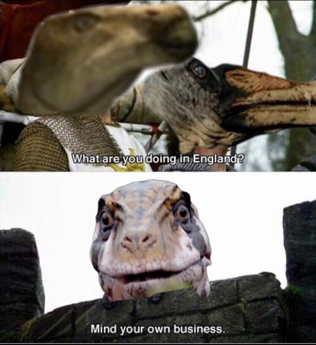 Brand0nsm1th tweet media