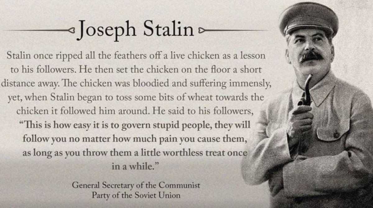 @templer_rising tweet media