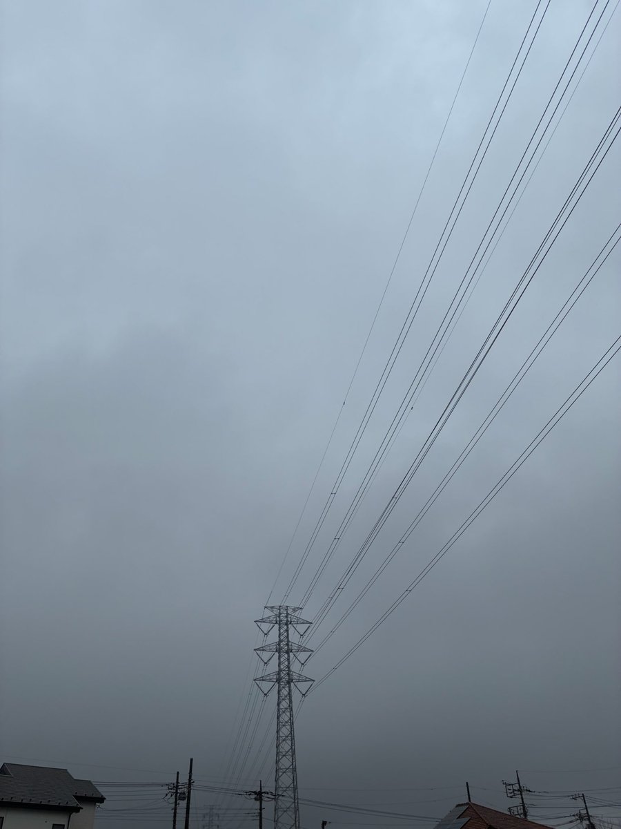 ツチ店長 【公式】 tweet media