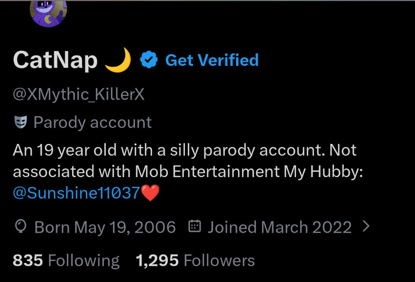 CatNap 🌙 tweet media