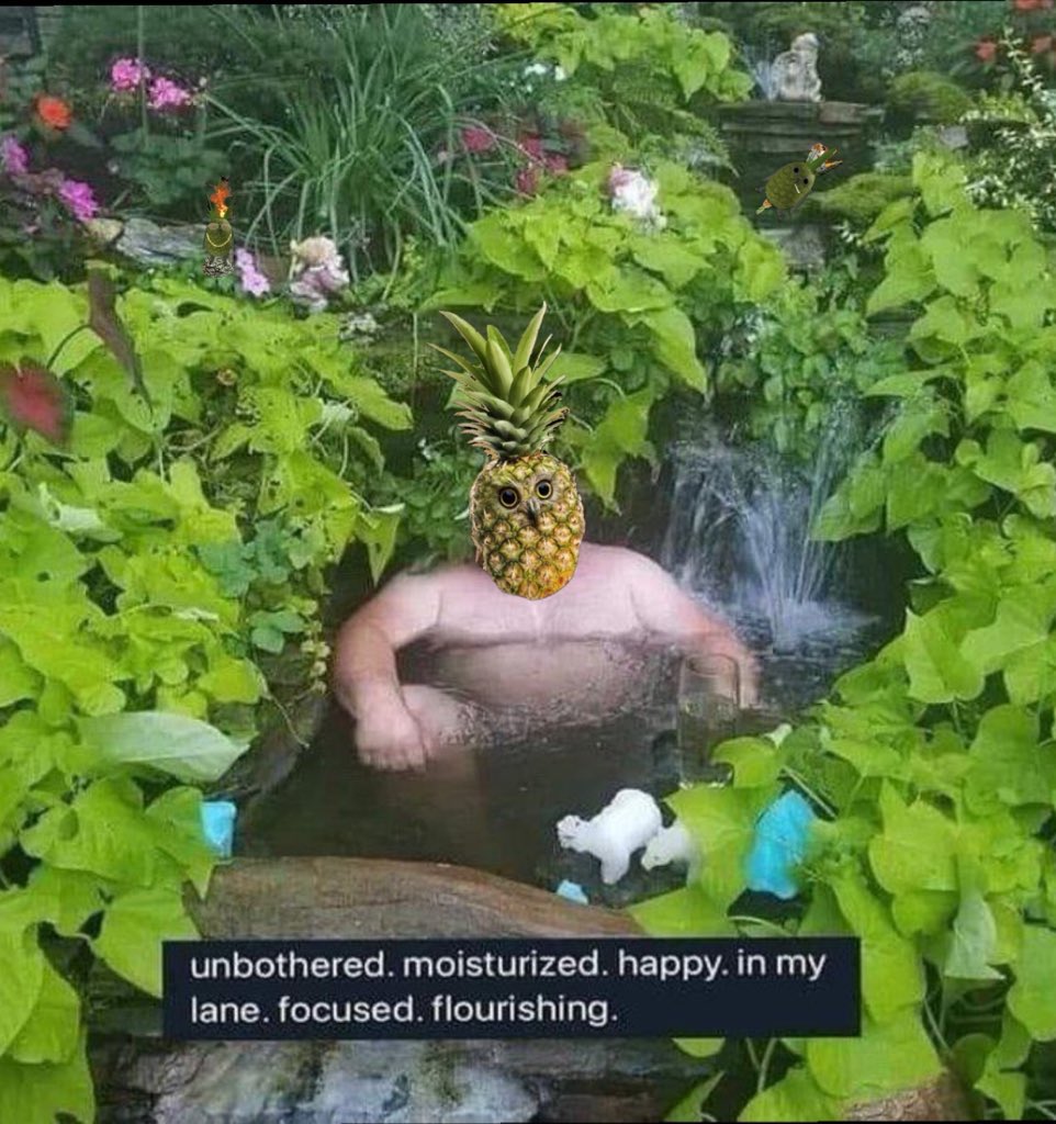 PINEOWL 🍍🦉 tweet media