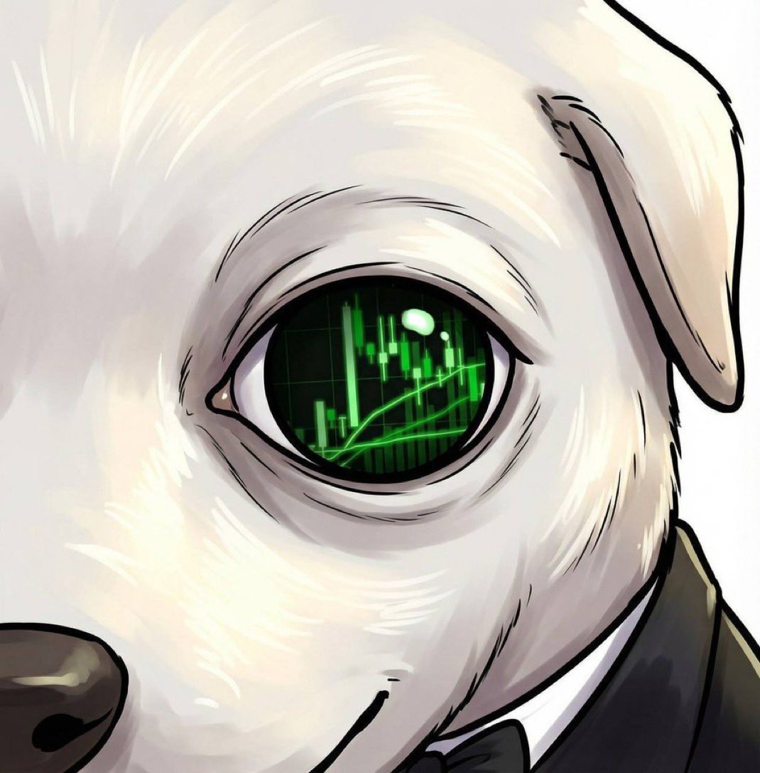 Weissguy100 /https arc/ tweet media