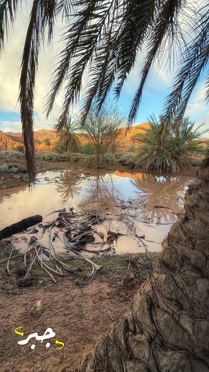 Saudi Magazine tweet media