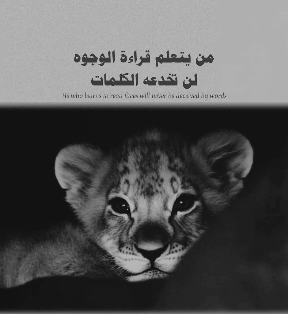 ضرغام آل هاشم tweet media