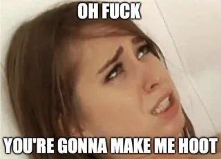 MOG ETF (🍍,🦉) tweet media