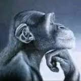 DoD!Swap Killers tweet media