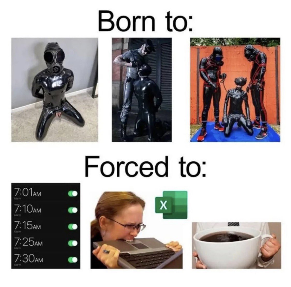 Morgan Cheval tweet media