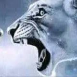 DoD!Swap Killers tweet media