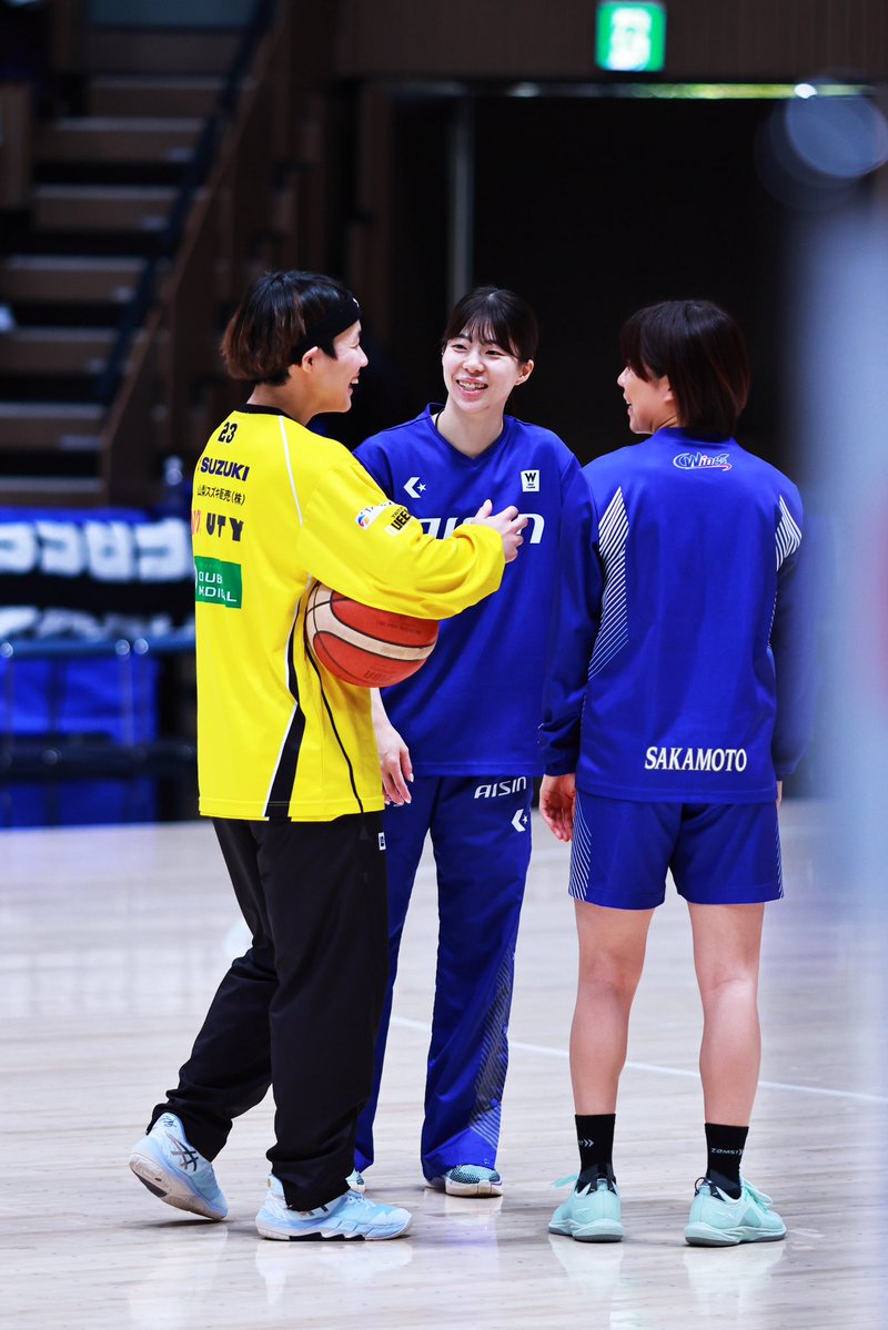 一匹猫 📸 tweet media