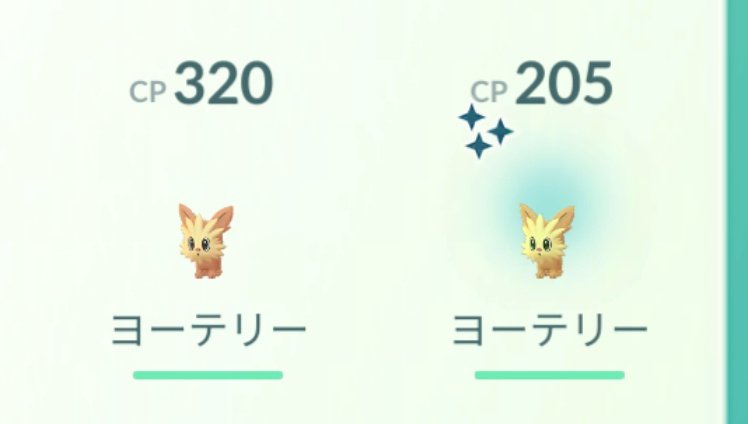 ShibuyaGirl tweet media