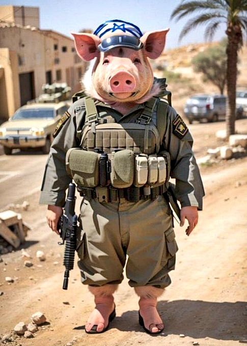 Raul Miranda tweet media