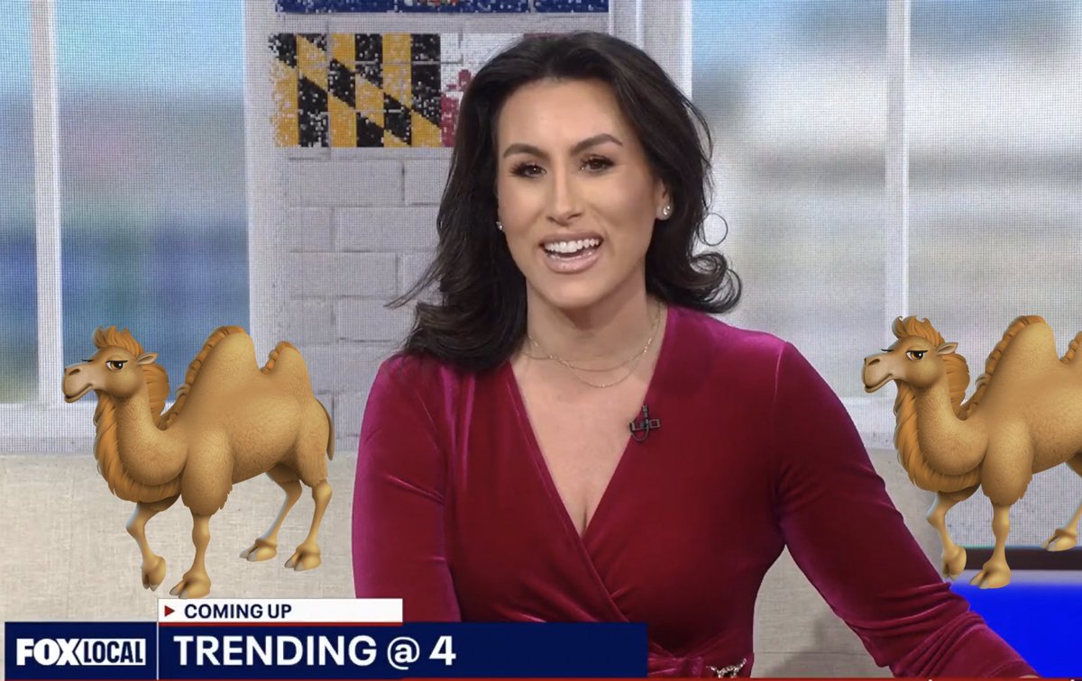 watchertv2000 tweet media