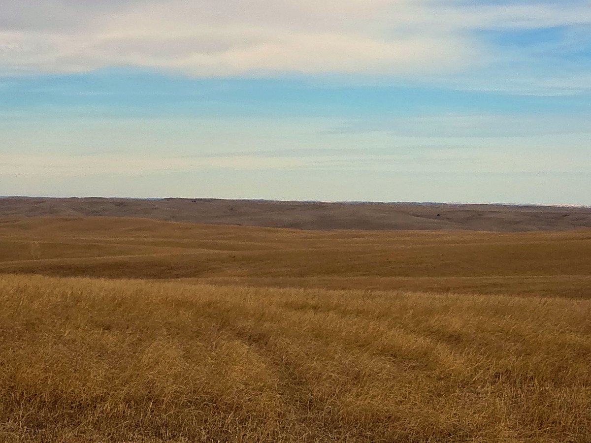 Ogalala Lakota County, SD
171+/- Acres 
Surrounded by Tribal ground on 3 sides and Buffalo Gap Nat'l Grassland on the other. 2 miles off of Chadron Rd. SW of Ogalala, South Dakota. Priced at $200,000, contact John Kerstiens- Battle Creek Agency at 605-219-4021 FMI
#LandForSale
