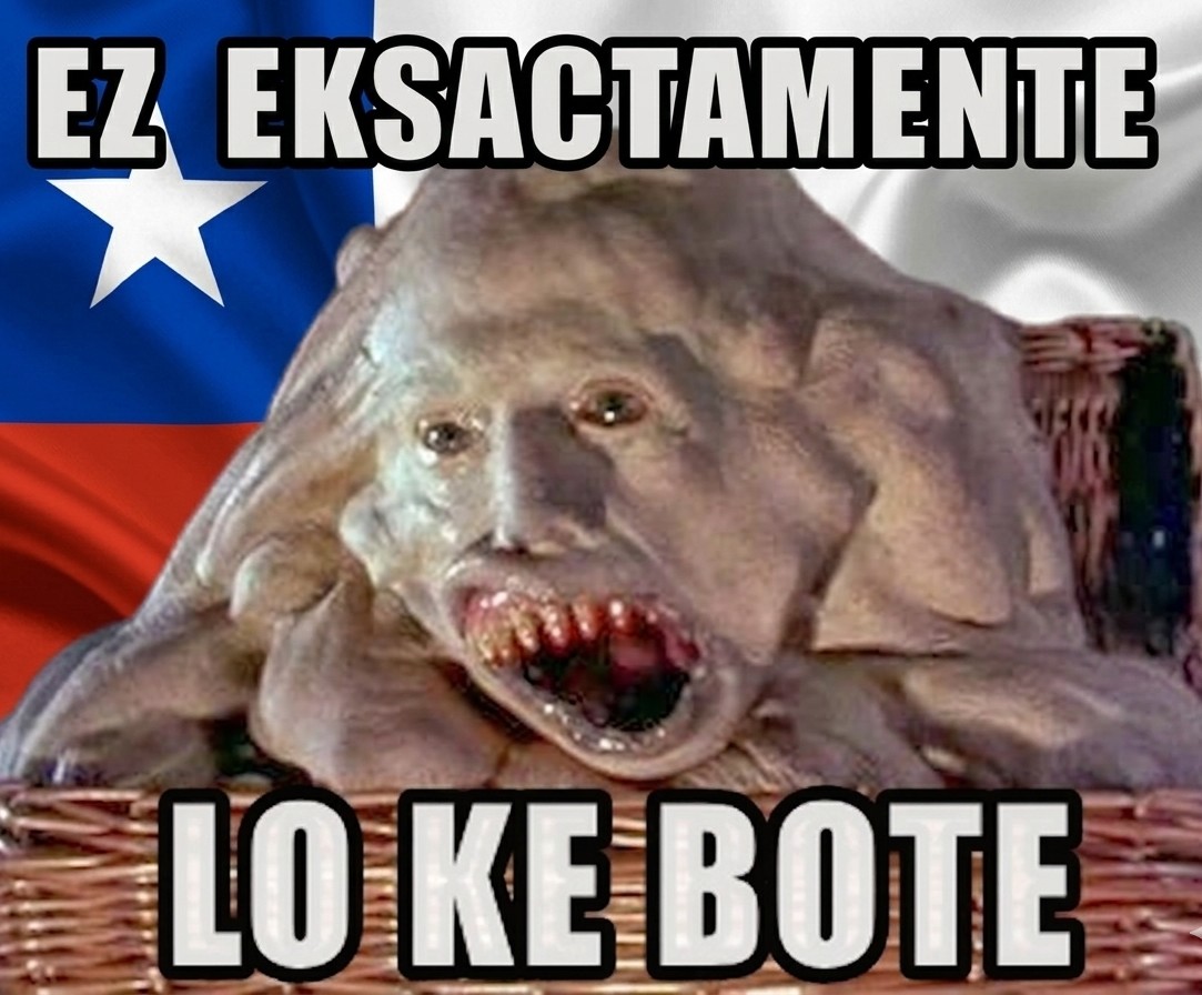 TheMichill tweet media