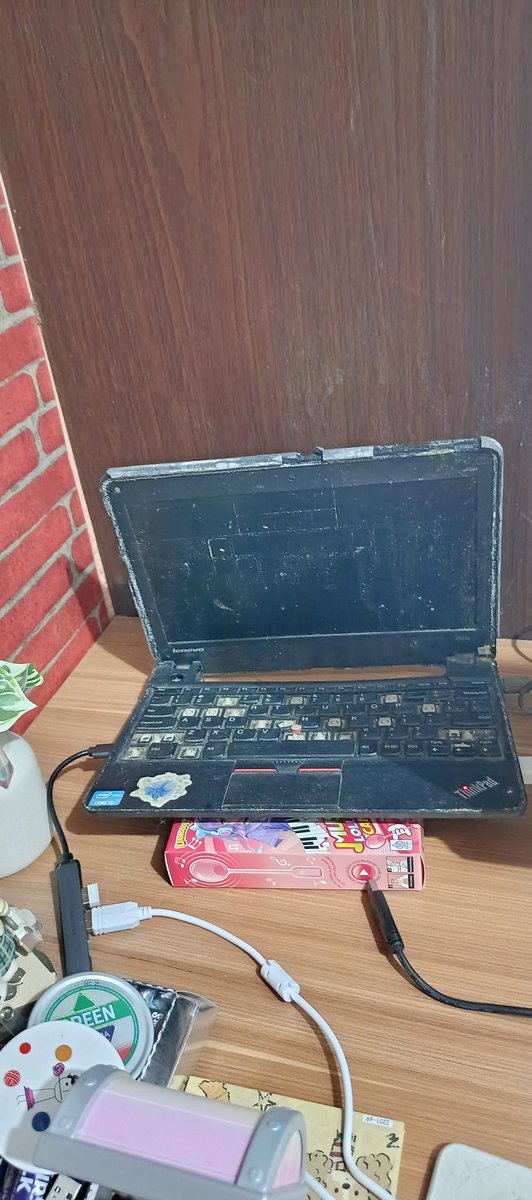 Rajin 🦭✨ tweet media