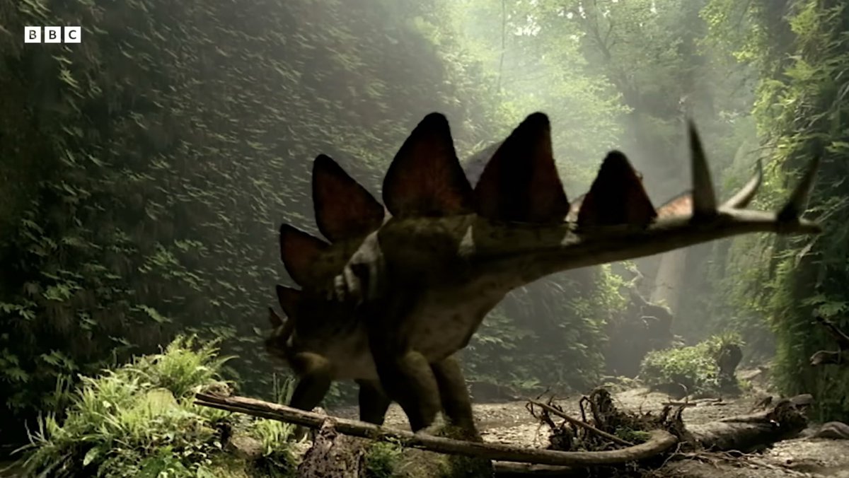 Brand0nsm1th tweet media