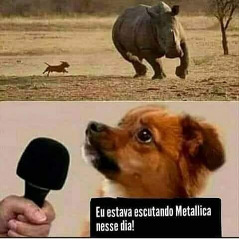 Chico Gois 🇧🇷 tweet media