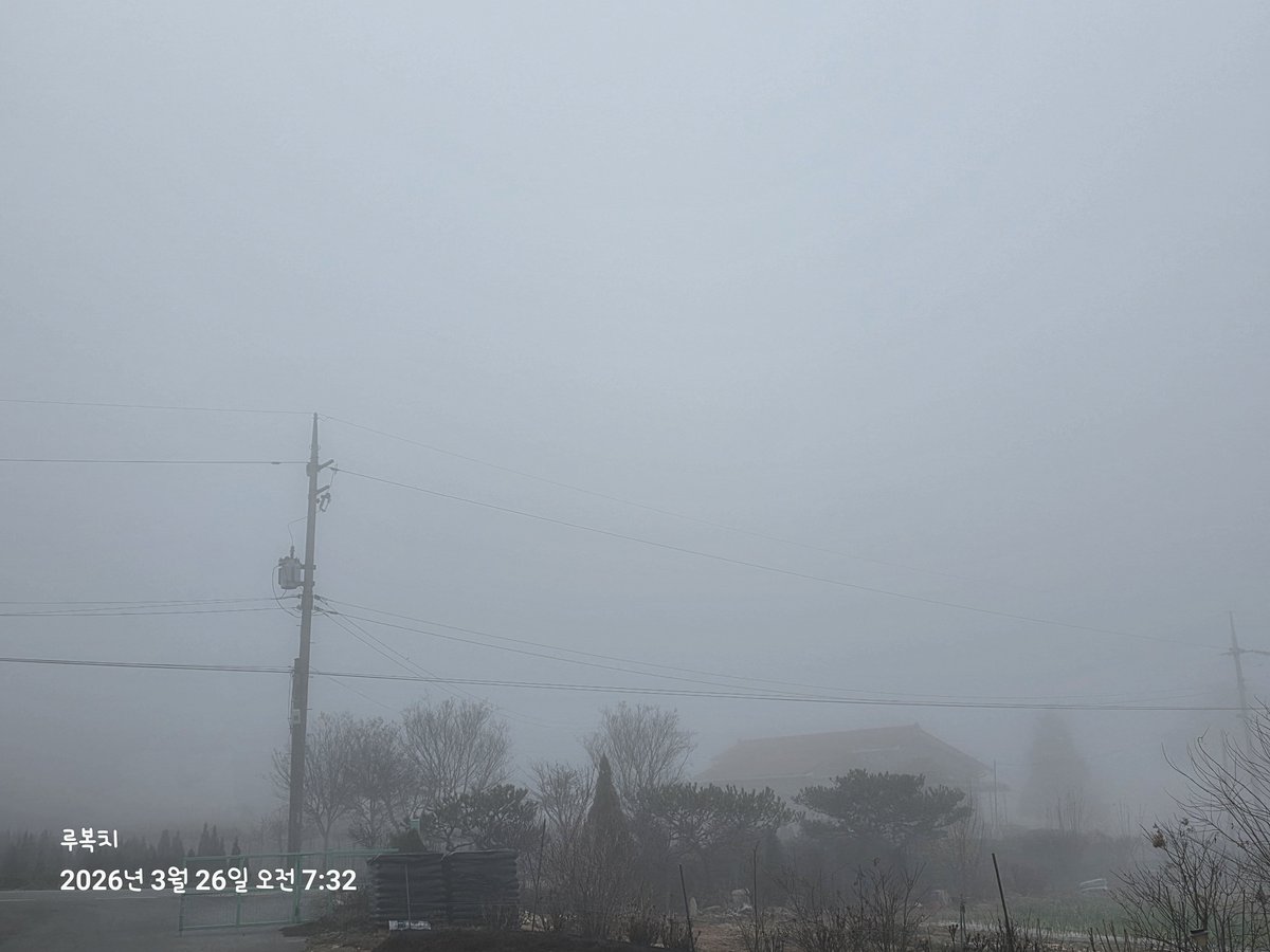 🌪善華/RubyLuna/루복치🌪 tweet media