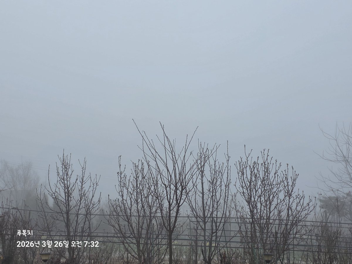 🌪善華/RubyLuna/루복치🌪 tweet media