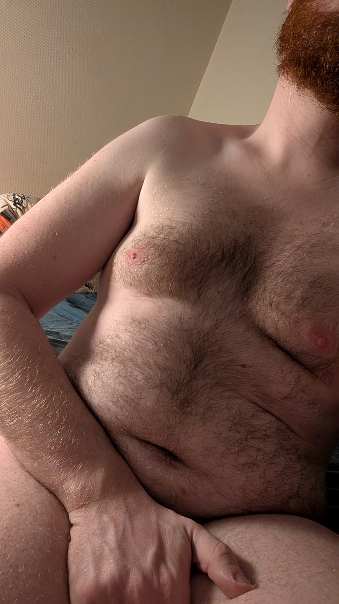 AkaIRL 秦朗 tweet media