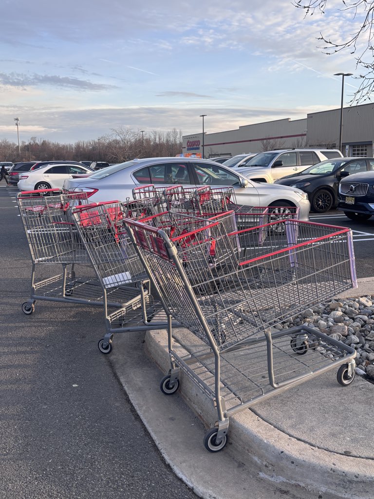 Sentient Felicity (Kate R.) tweet media