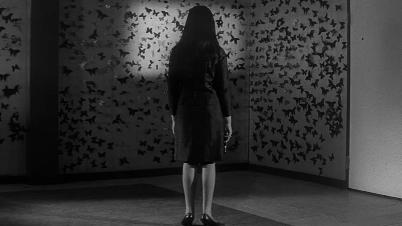 Daniel Hood tweet media