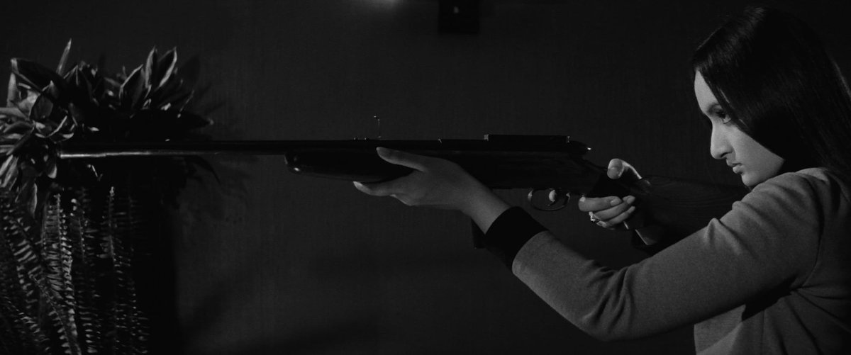 Daniel Hood tweet media