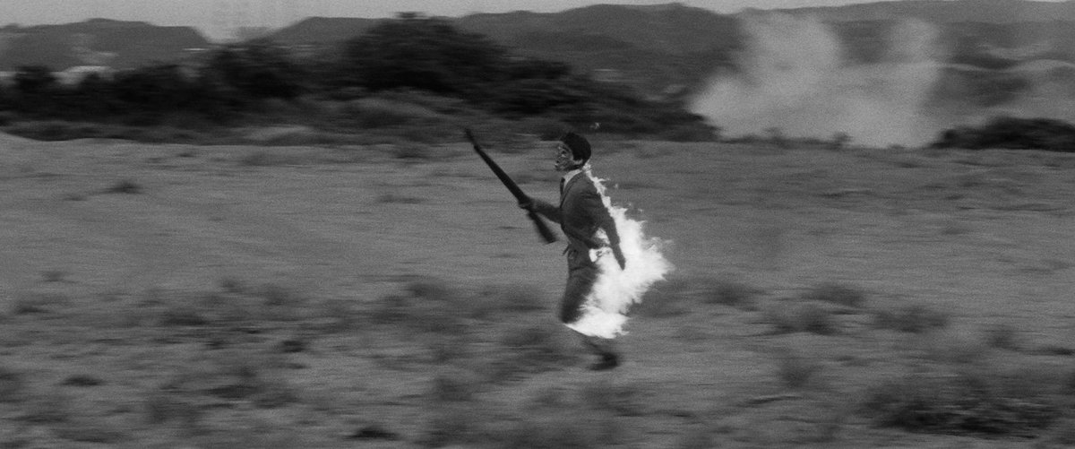 Daniel Hood tweet media