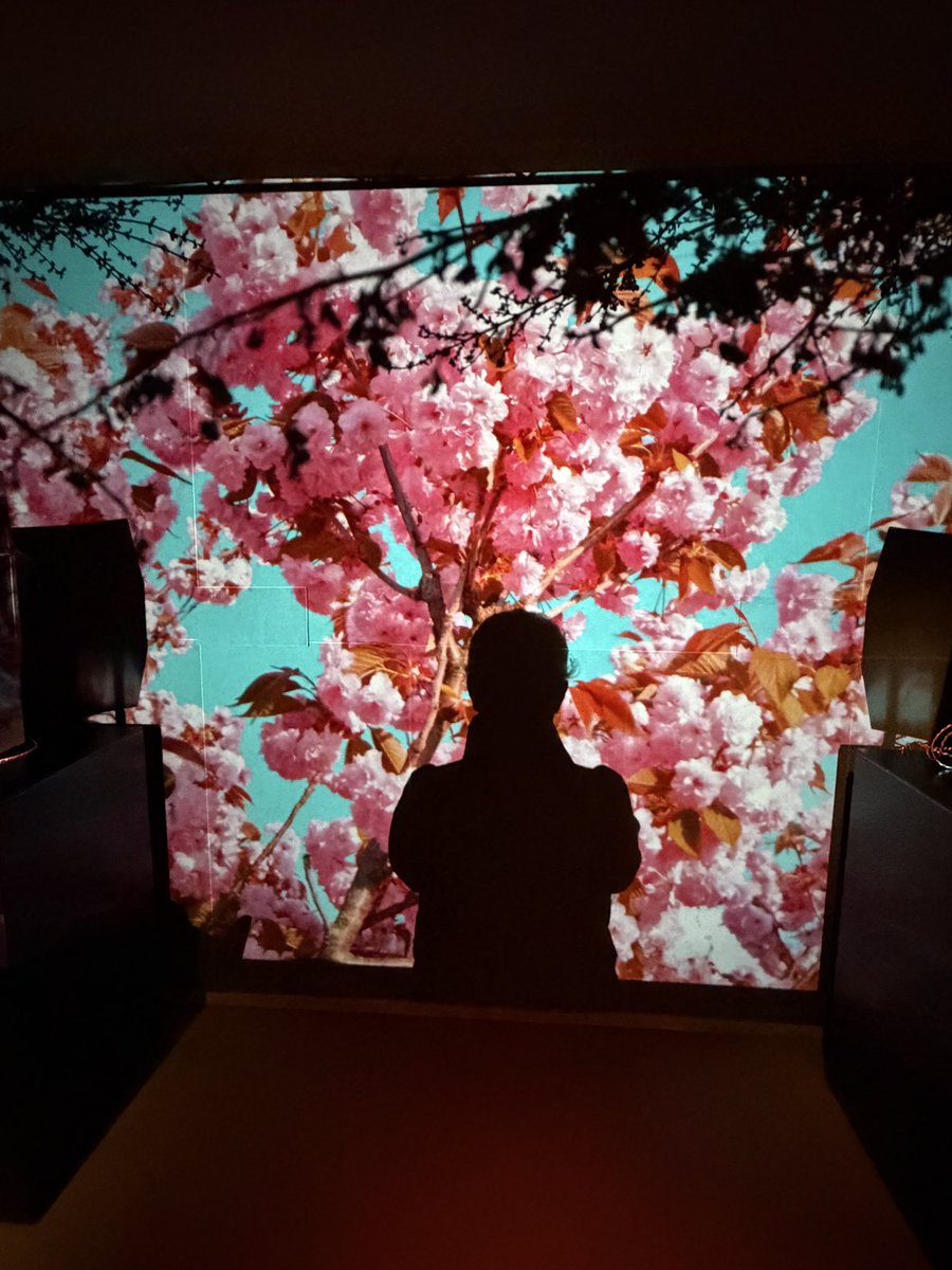 MTarradellas's tweet photo. Vespre genial! Amb la Dinke hem anat al #oblicuohifibar a #bcna a una #cerimòniadeflors! El lloc m’ha encisat; les menges -hanami style tapes-, preparades x la #mellowsheng, han sigut sorprenents i delicioses; i de la música se n’ha encarregat #hanakito! Un gran combo! #sakura https://t.co/sgqfT1P1dI