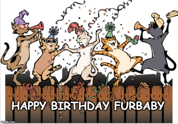 ♌️Leo friend of the Feral "O-T" tweet media