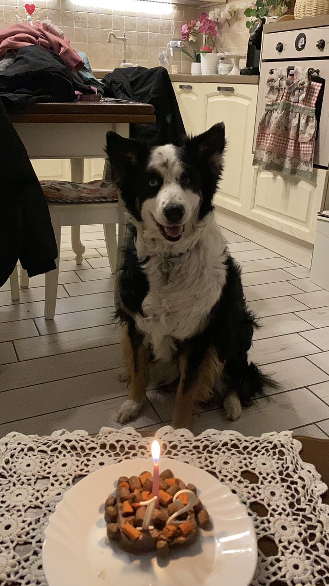 sa🐈‍⬛ tweet media