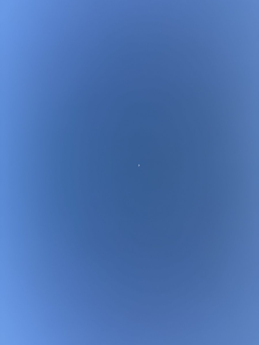 STRANGER ALIEN tweet media