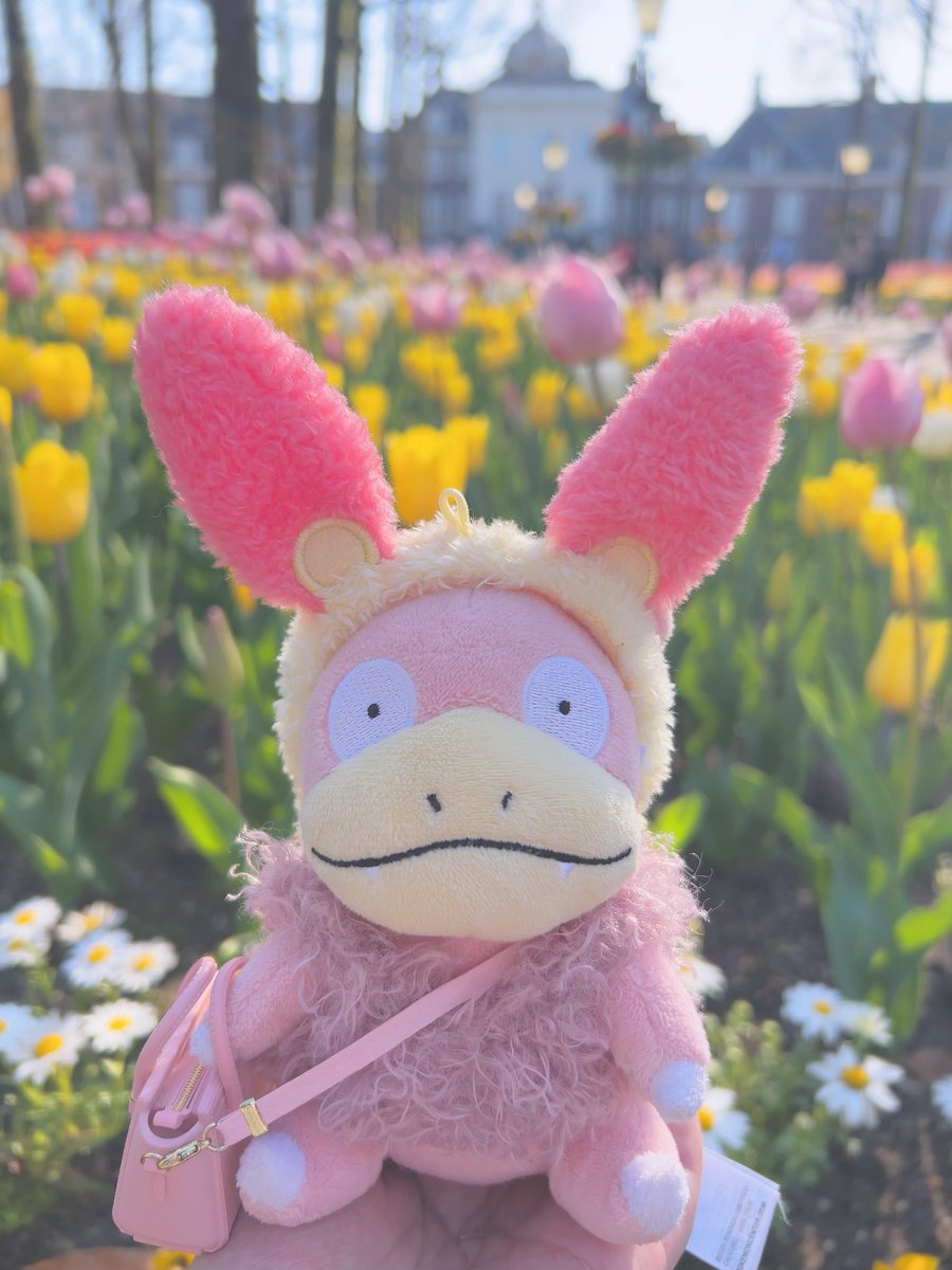 🌞🌞🌞ハム🌞🌞🌞 tweet media