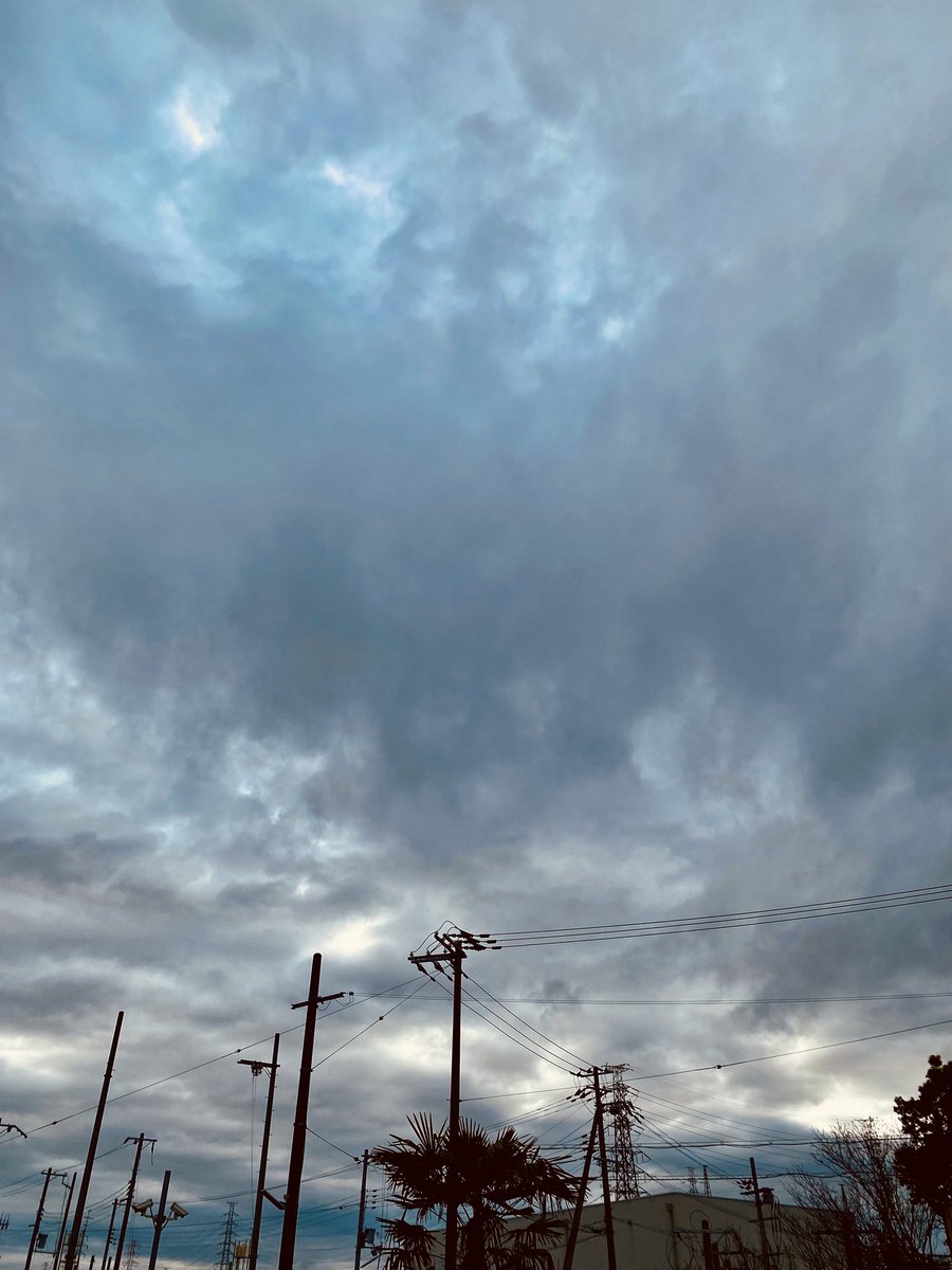 エディ tweet media