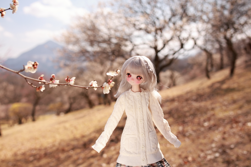 nabetomo tweet media