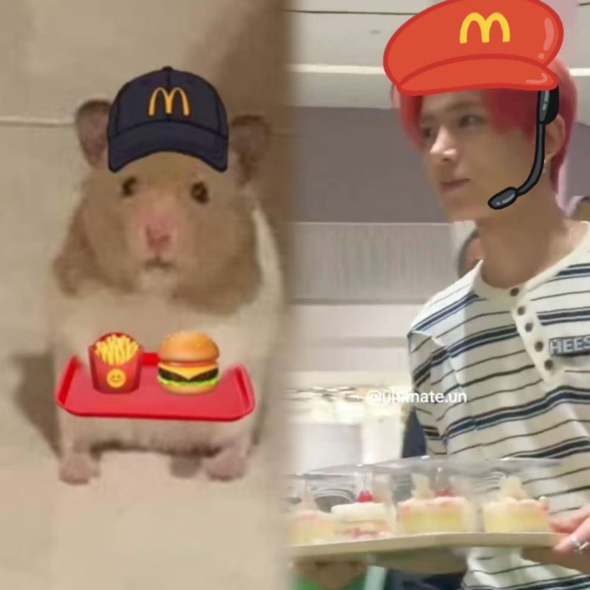 tofii | Enhypen is 7 tweet media