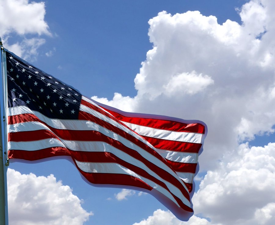 Arizona Nancy ❤️🌵🌴🎄❤️ tweet media