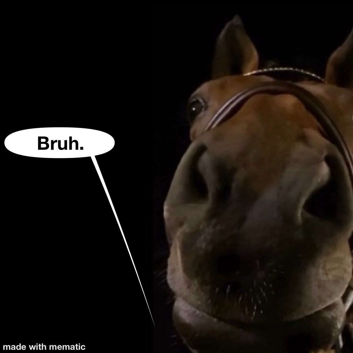 NoKnocks18784 tweet media