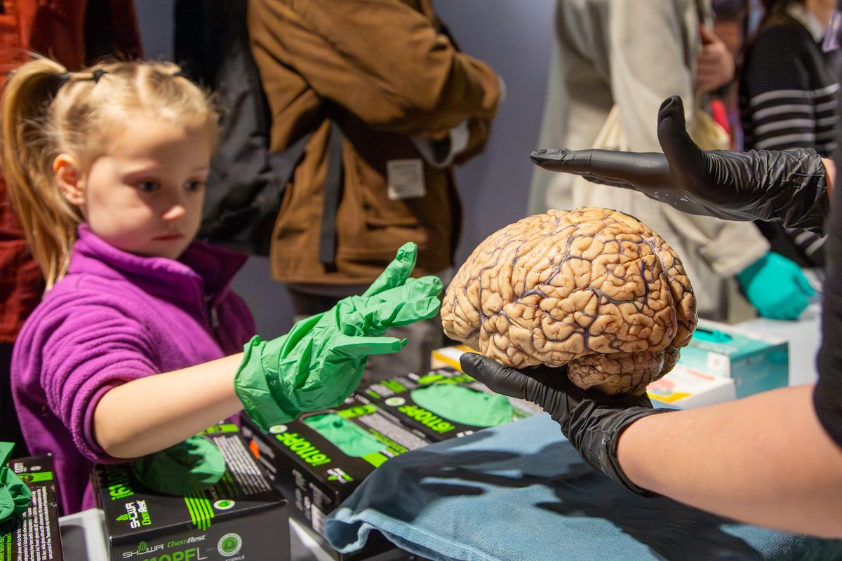 AllenInstitute's tweet photo. BrainFest at the Pacific Science Center rocked! 🧠 ⚡️ 🤘

Thank you to all the young scientists who joined our cerebral celebration and all the volunteers, including from our partners at @UWMedicine, @UW, @isbsci, and many more!

#BrainAwarenessWeek #brainfest https://t.co/kUwMf0S1FP