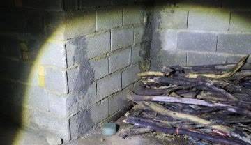 IRIB (Islamic Republic of Iran Broadcasting) tweet media