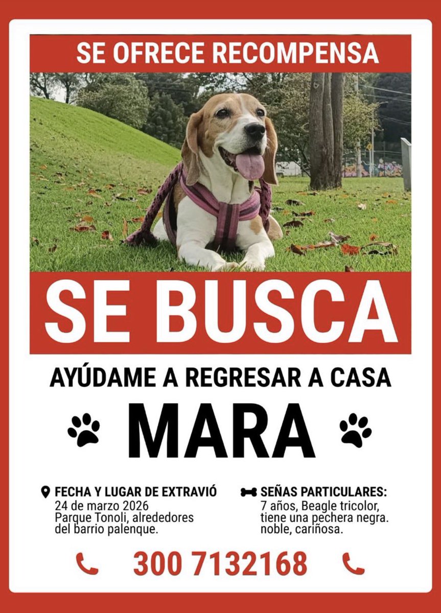 Marianaaaa17's tweet photo. Gente por favor ayúdennos a encontrarla, a Mara le dan ataques de epilepsia cada que se estresa, ella necesita estar en su hogar por favor🙏🏽🥺 https://t.co/SdUb7qTlOR