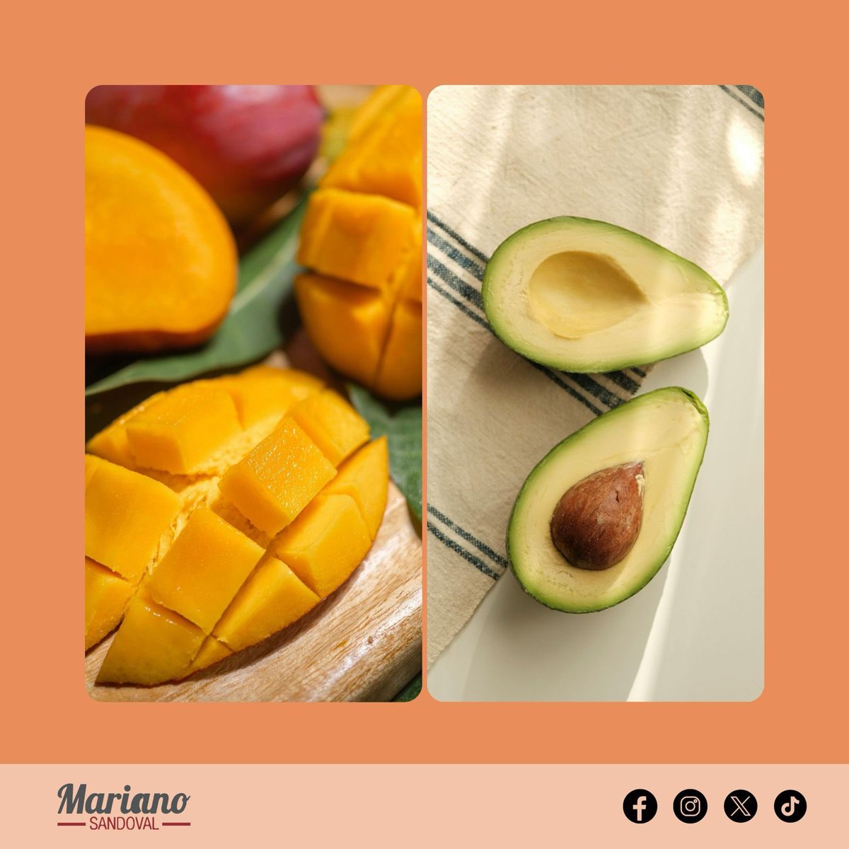 Mariano Sandoval tweet media