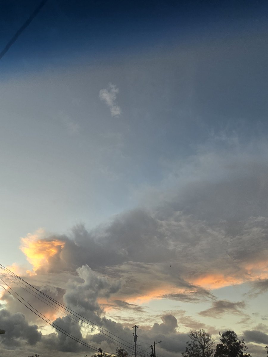 Yayi Soto📖 tweet media