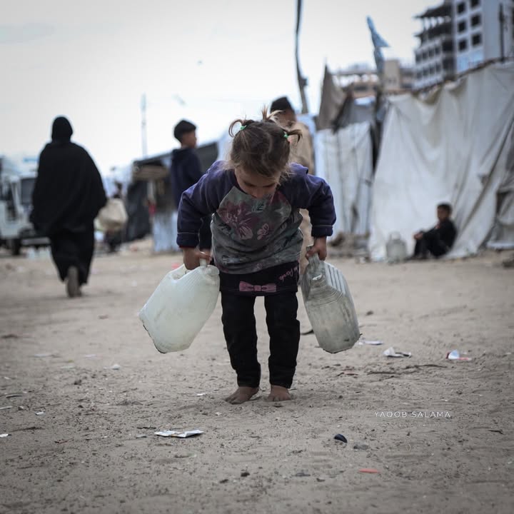 TIMES OF GAZA tweet media