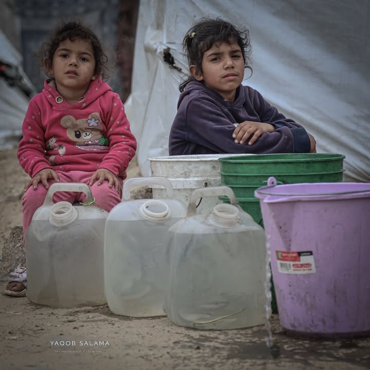 TIMES OF GAZA tweet media