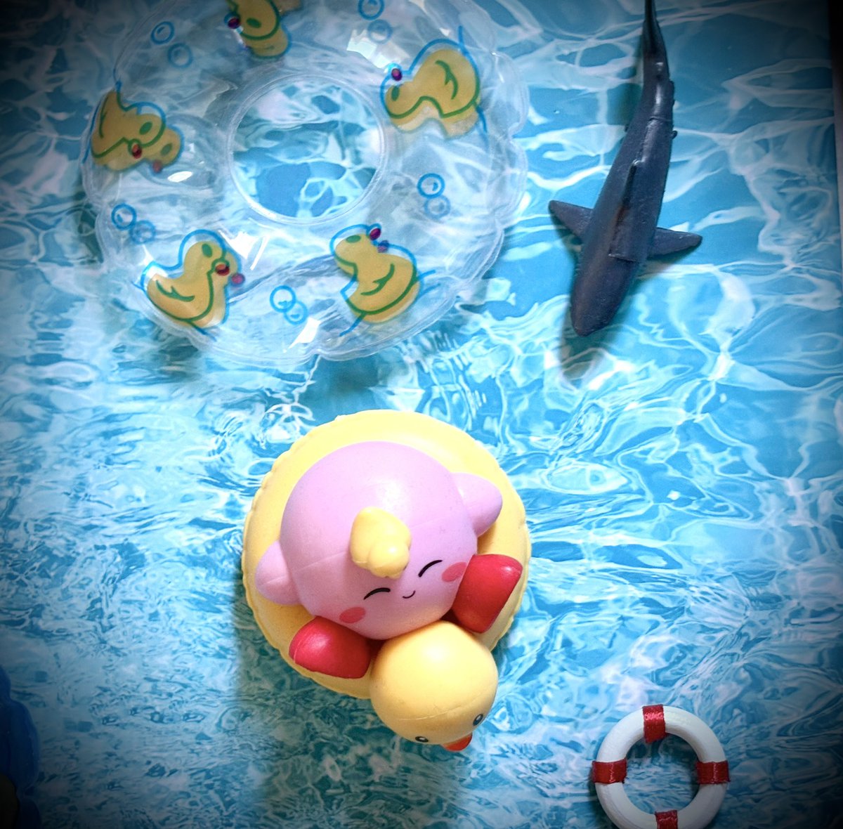 Anthony Bird tweet media