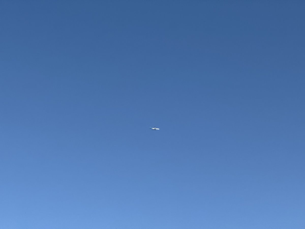 STRANGER ALIEN tweet media